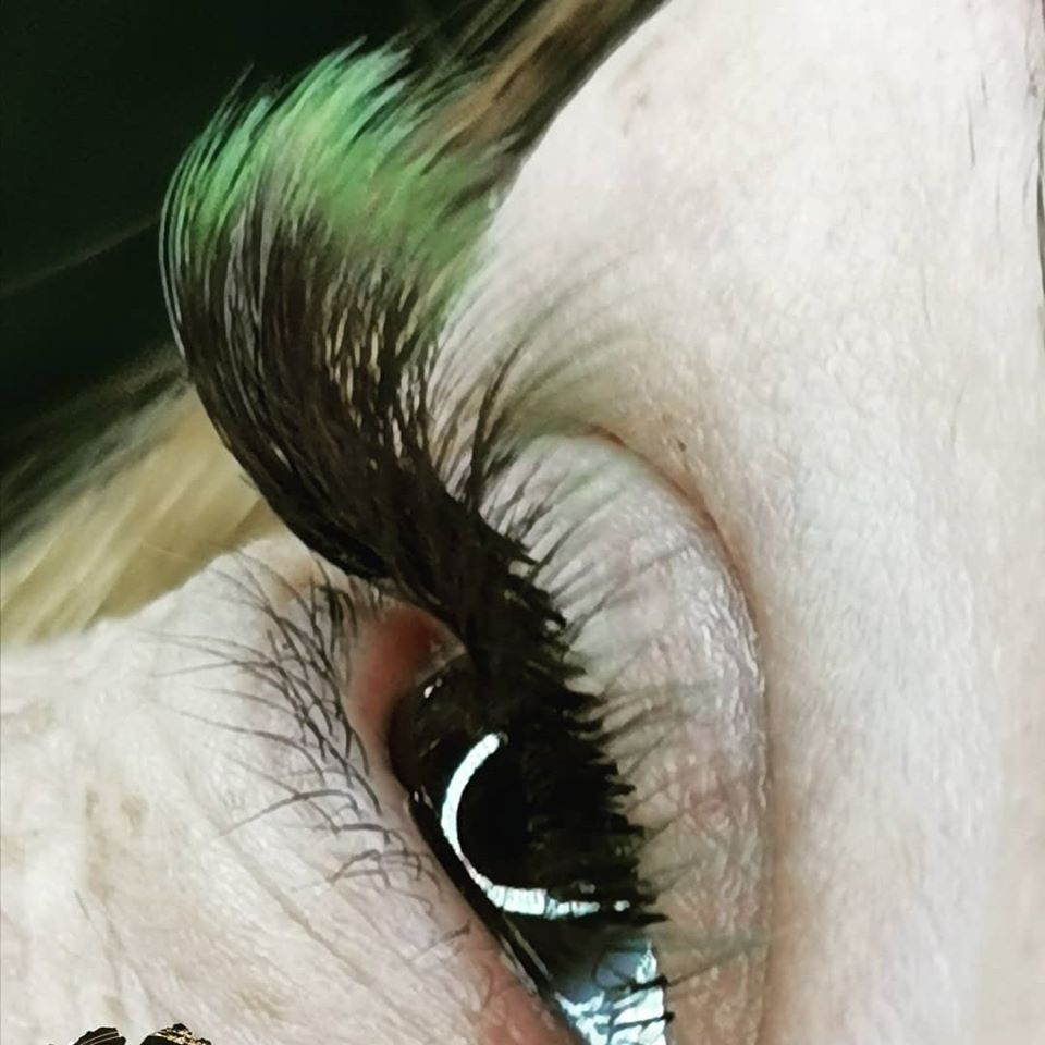OMBRE Green / Black eyelashes extensions Old version